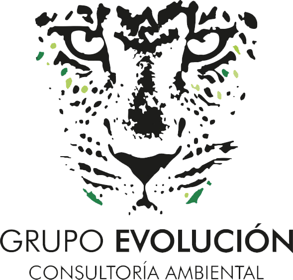 Consultoría Ambiental